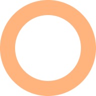 COMPANY OVERVIEW